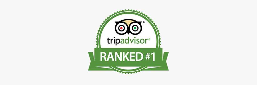 What makes Evertsdal the # 1 Rated Guesthouse on TripAdvisor!